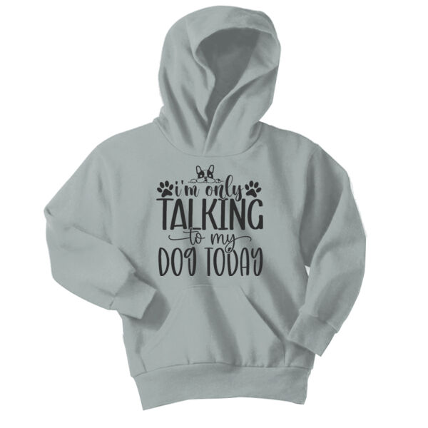 Port & Co ® - Youth Core Fleece Pullover Hooded Sweatshirt Thumbnail